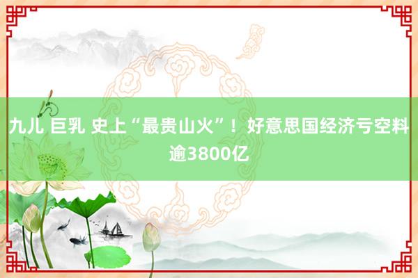 九儿 巨乳 史上“最贵山火”！好意思国经济亏空料逾3800亿