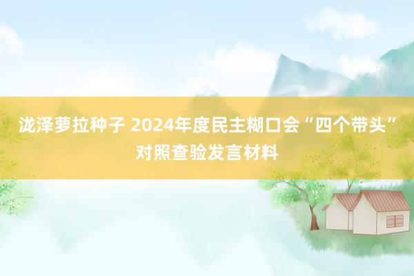 泷泽萝拉种子 2024年度民主糊口会“四个带头”对照查验发言材料