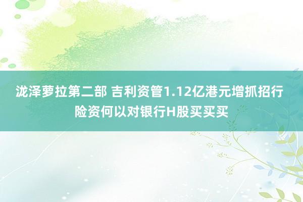 泷泽萝拉第二部 吉利资管1.12亿港元增抓招行 险资何以对银行H股买买买