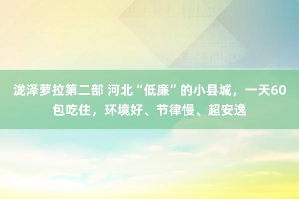 泷泽萝拉第二部 河北“低廉”的小县城，一天60包吃住，环境好、节律慢、超安逸