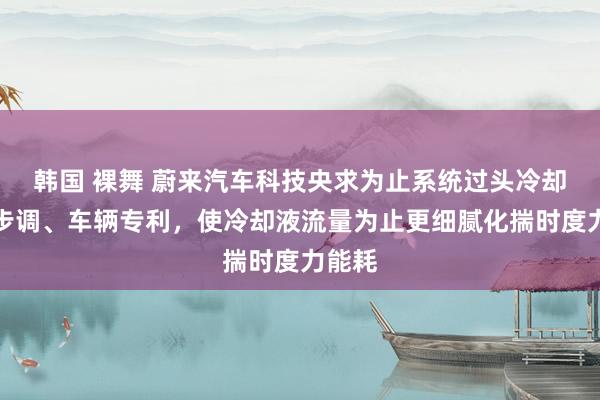 韩国 裸舞 蔚来汽车科技央求为止系统过头冷却为留步调、车辆专利，使冷却液流量为止更细腻化揣时度力能耗