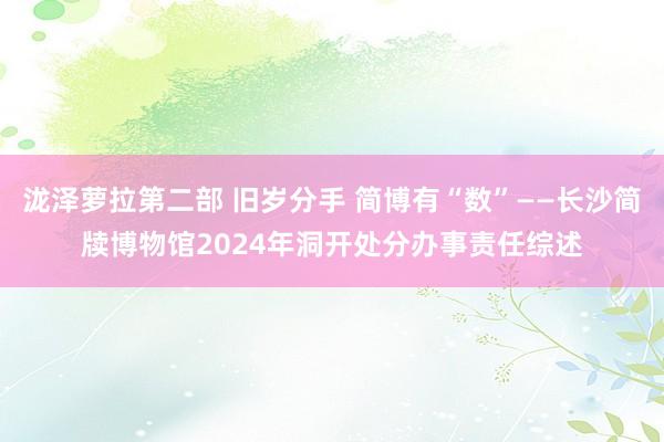 泷泽萝拉第二部 旧岁分手 简博有“数”——长沙简牍博物馆2024年洞开处分办事责任综述