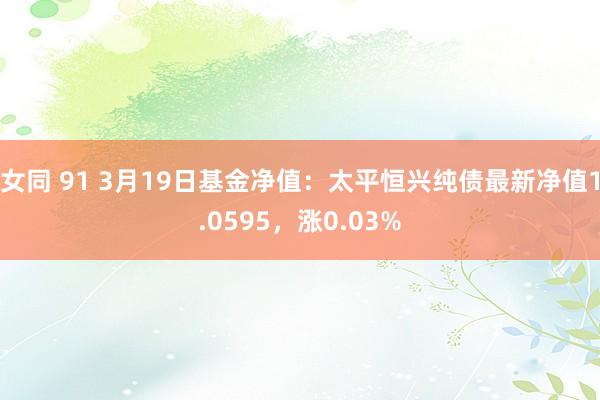 女同 91 3月19日基金净值：太平恒兴纯债最新净值1.0595，涨0.03%